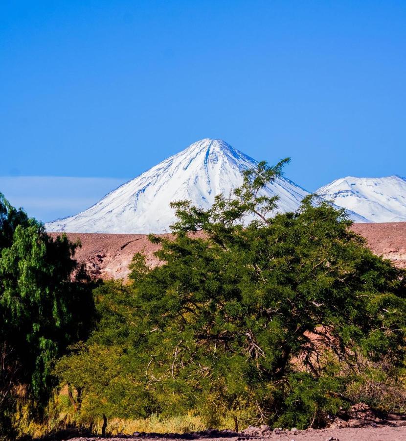 Hostal Don Felix San Pedro de Atacama Exterior photo